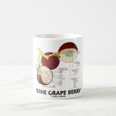 Weintraube-Beere (Anatomie) Kaffeetasse (Mittel)