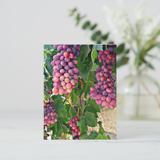 Weintraube Postkarte (Stehend Vorderseite)