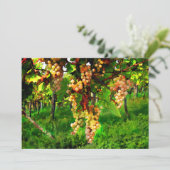 Weintrauben auf den Weinbergen Einladung (Stehend Vorderseite)