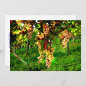 Weintrauben auf den Weinbergen Einladung (Vorne/Hinten)
