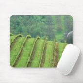 Weintrauben bei Newberg Oregon Mousepad (Mit Mouse)