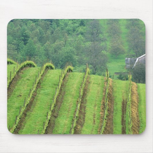 Weintrauben bei Newberg Oregon Mousepad (Vorne)