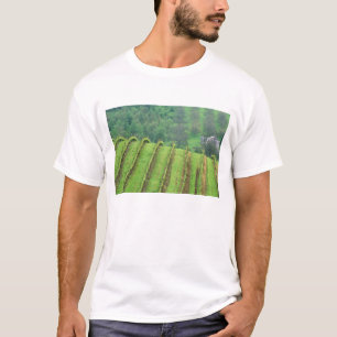 Weintrauben bei Newberg Oregon T-Shirt