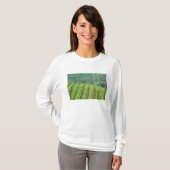 Weintrauben bei Newberg Oregon T-Shirt (Vorne ganz)