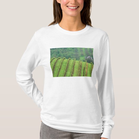 Weintrauben bei Newberg Oregon T-Shirt (Vorderseite)