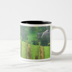 Weintrauben bei Newberg Oregon Zweifarbige Tasse