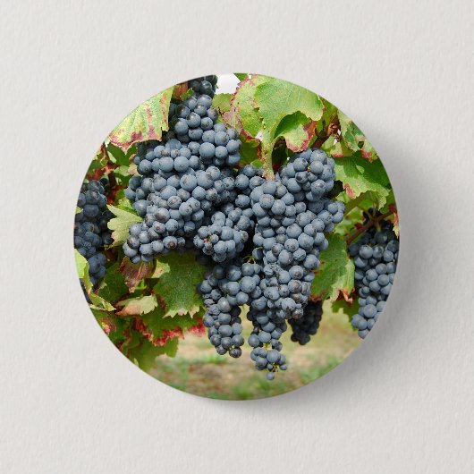 Weintrauben Button (Vorderseite)