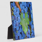 Weintrauben Fotoplatte (Seite)