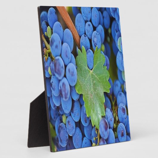 Weintrauben Fotoplatte (Seite)