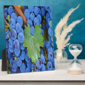 Weintrauben Fotoplatte (Seite)