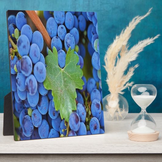 Weintrauben Fotoplatte (Seite)