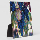 Weintrauben Fotoplatte (Seite)