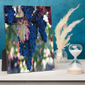 Weintrauben Fotoplatte (Seite)