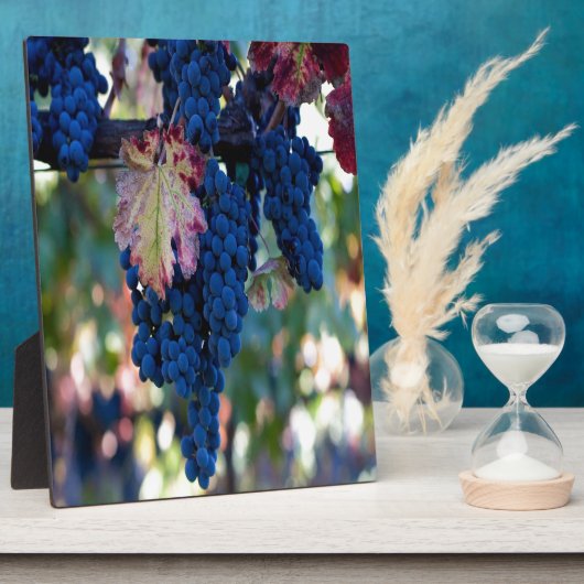 Weintrauben Fotoplatte (Seite)