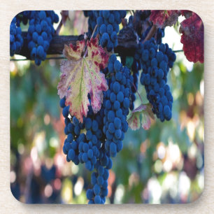 Weintrauben Getränkeuntersetzer