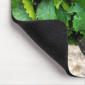 Weintrauben Growing, Frankreich Mousepad (Ecke)