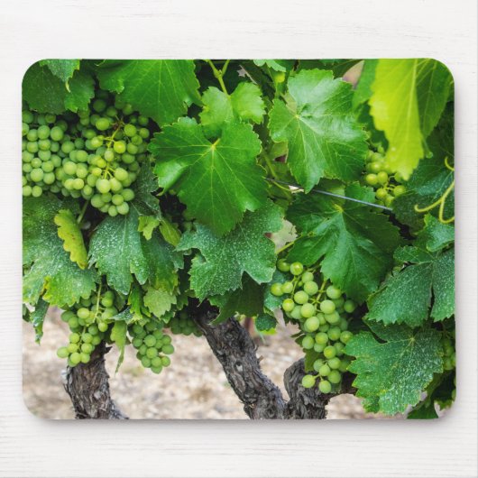 Weintrauben Growing, Frankreich Mousepad (Vorne)