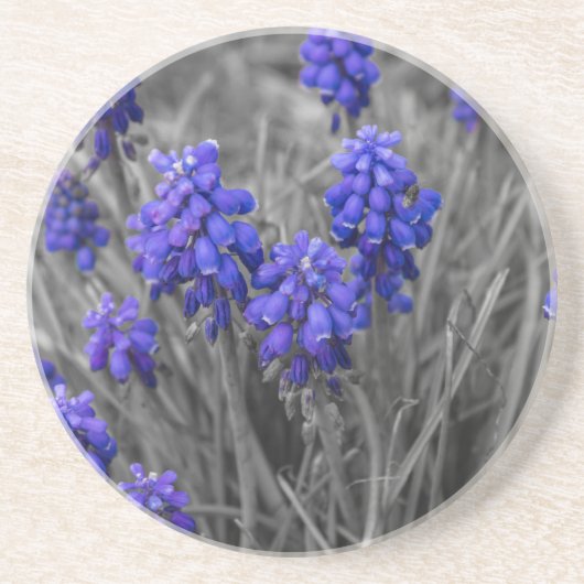 Weintrauben - Hyazinthen Getränkeuntersetzer (Vorne)