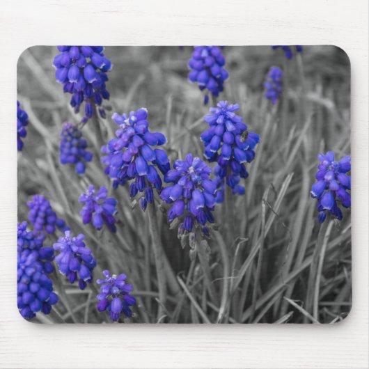 Weintrauben - Hyazinthen Mousepad (Vorne)