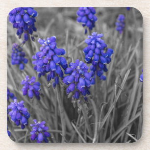 Weintrauben - Hyazinthen Untersetzer