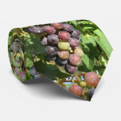 Weintrauben Krawatte (Gerollt)