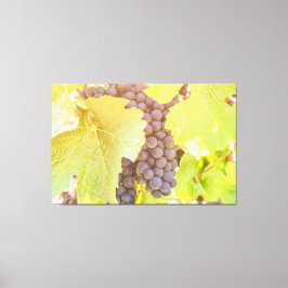 Weintrauben Leinwanddruck