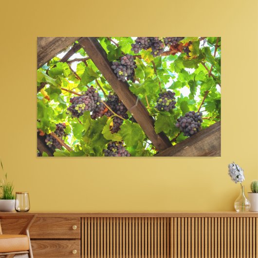 Weintrauben Leinwanddruck (Insitu (Wohnzimmer))