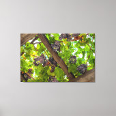 Weintrauben Leinwanddruck (Vorderseite)