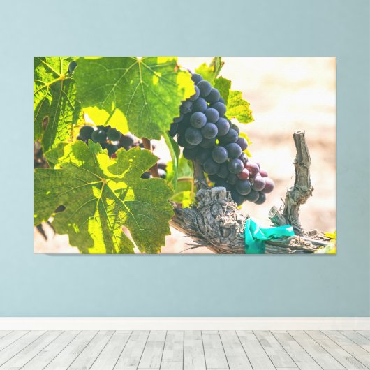 Weintrauben Leinwanddruck (Insitu (Holzboden))