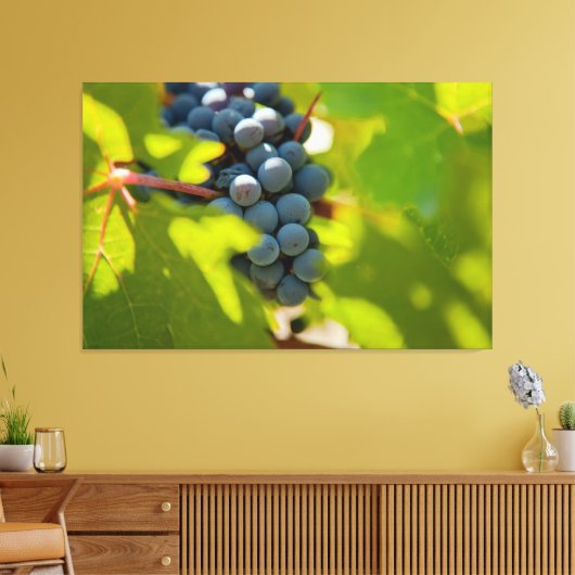 Weintrauben Leinwanddruck (Insitu (Wohnzimmer))