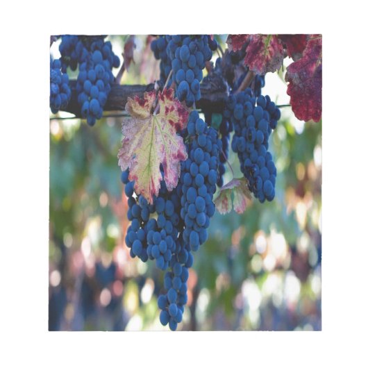 Weintrauben Notizblock (Vorderseite)