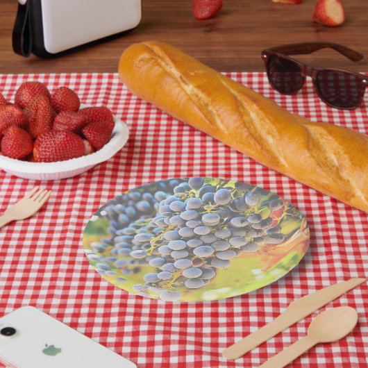 Weintrauben Papier Teller (Picknick)