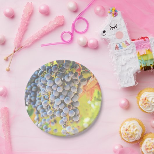 Weintrauben Papier Teller (Party)