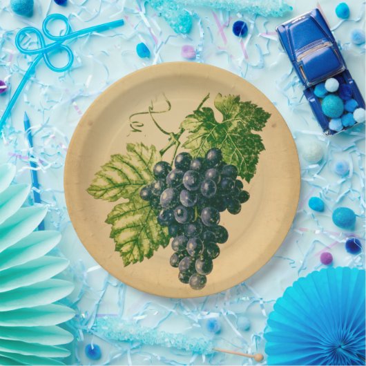 Weintrauben Pappteller (Party)