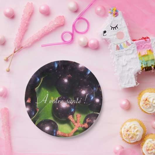 Weintrauben Pappteller (Party)