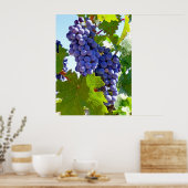 Weintrauben Poster (Küche)