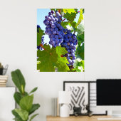 Weintrauben Poster (Heimbüro)