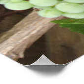 Weintrauben Poster (Ecke)