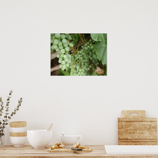 Weintrauben Poster (Küche)