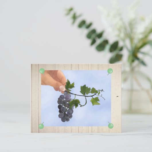 Weintrauben Postkarte (Stehend Vorderseite)