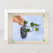 Weintrauben Postkarte (Vorne/Hinten)