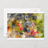 Weintrauben Postkarte (Vorne/Hinten)