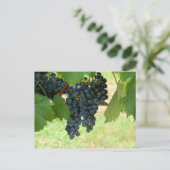 Weintrauben Postkarte (Stehend Vorderseite)