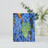 Weintrauben Postkarte (Stehend Vorderseite)