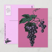 Weintrauben Postkarte (Vorne/Hinten)