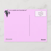 Weintrauben Postkarte (Rückseite)