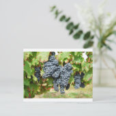 Weintrauben Postkarte (Stehend Vorderseite)