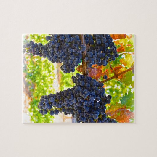 Weintrauben Puzzle (Horizontal)