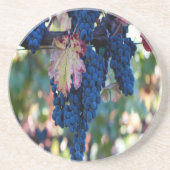 Weintrauben Sandstein Untersetzer (Vorne)