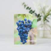 Weintrauben und Weinbaugeschenk Feiertagspostkarte (Stehend Vorderseite)